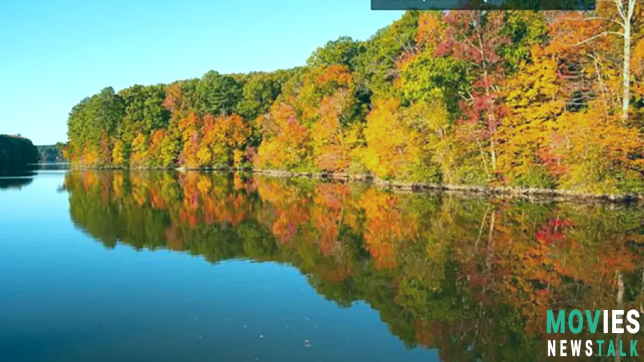 Virginia Fall Foliage PEAK 2024! Map, Best Spots & When to Go!  Stunning Autumn Colors! Main Image