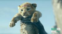 Academy Awards Lion King: The Great Debate Over Animation and Visual Effects