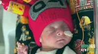 ADORABLE NICU Halloween Costumes!  Chicago Hospital Contest Winners Will Melt Your Heart!