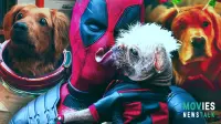 Best & Worst MCU Dogs: From Cosmo to Dogpool!