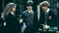 Book vs Film Harry Potter: Spotting the Differences and Laughing Along the Way