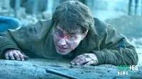 Harry Potter TV Show: Release Date, Casting, and Controversy