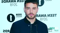 Liam Payne's UNRELEASED Song!  Posthumous Track CANCELLED After Tragic Death: Heartbreaking Update