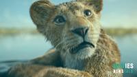 Lion King Female Lions: Names, Roles & the Strength of the Pride | SEO Expert