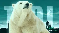 Lost: Why The Island Had Polar Bears & How They Got There