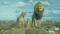 Mufasa: The Lion King Box Office, Review & Streaming Release - Disney Prequel!