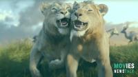 Mufasa vs Scar: Lion King's Epic Feud - Jealousy, Betrayal & More | Lion King Mufasa vs Scar