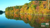 Virginia Fall Foliage PEAK 2024! Map, Best Spots & When to Go!  Stunning Autumn Colors!