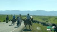 Yellowstone Cast & Crew: Real Cowboys & Drama - Explore the Authenticity | SEO Guide