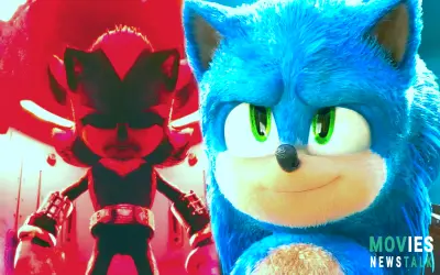 Amy Rose's Post-Credits Scene In Sonic the Hedgehog 3 Could Setup Sonic CD Adaptation