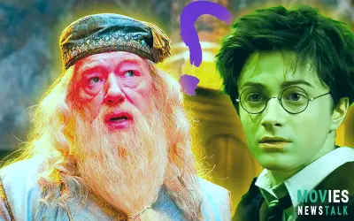 Harry Potter Remake Must Fix Iconic Dumbledore Line (But Meme Makes It Hard)