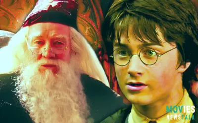 How may Harry Potter Remake by HBO improve Chamber of Secrets and Philosopher's Stone?