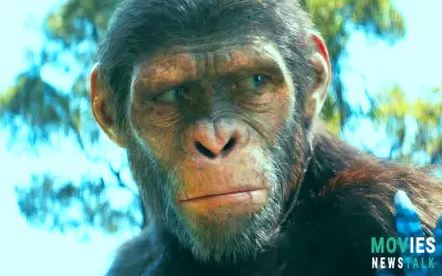 Kingdom of the Planet of the Apes Streaming Release Date: When Can You Watch It?