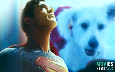 Krypto the Superdog: The Kryptonian Dog's Guide to James Gunn's Superman Movie & DCU Fun!