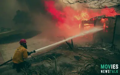 Southern California Wildfires: HOMES Destroyed, Mass Evacuations Amid EXTREME Wind Warnings!