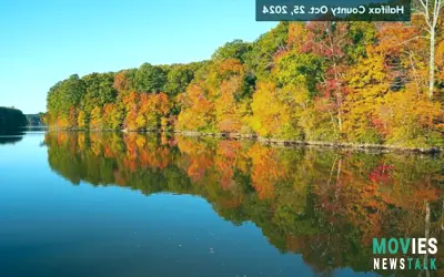 Virginia Fall Foliage PEAK 2024! Map, Best Spots & When to Go!  Stunning Autumn Colors!