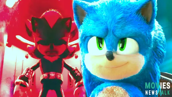 Amy Rose's Post-Credits Scene In Sonic the Hedgehog 3 Could Setup Sonic CD Adaptation