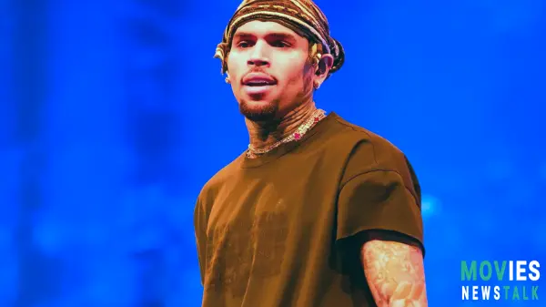 Chris Brown Rape Allegation: New Documentary Reveals SHOCKING Details! Must-See True Crime Doc!