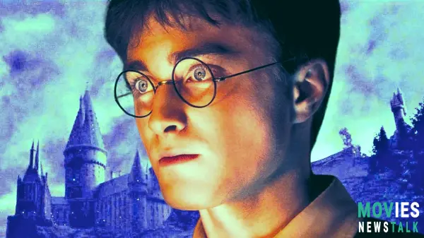 Harry Potter: How Chapter 13 In Half-Blood Prince Flips Chamber Of Secrets Reveal