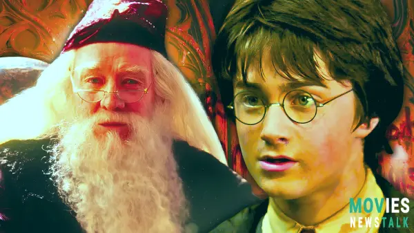 How may Harry Potter Remake by HBO improve Chamber of Secrets and Philosopher's Stone?