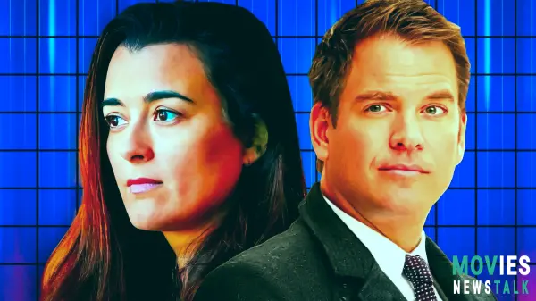 NCIS: Tony & Ziva: Can Ari Haswari Really Return?  Cote de Pablo & Michael Weatherly's Wild Idea!.