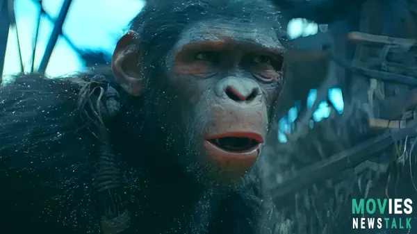 Planet of the Apes Domestic Box Office: Kingdom ranks fourth, above War.