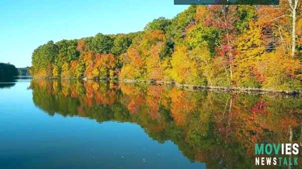 Virginia Fall Foliage PEAK 2024! Map, Best Spots & When to Go!  Stunning Autumn Colors!