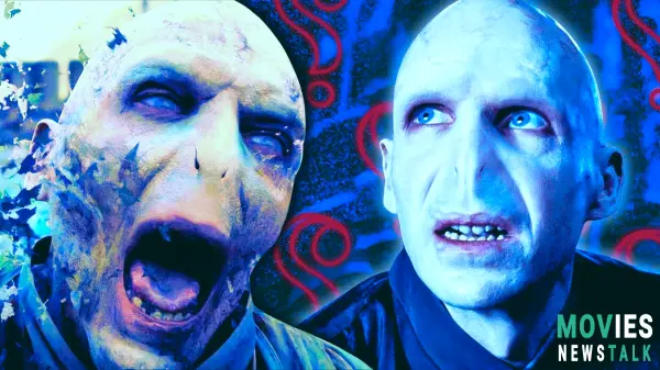 Voldemort's Soul: What Happened After He Died In Harry Potter?