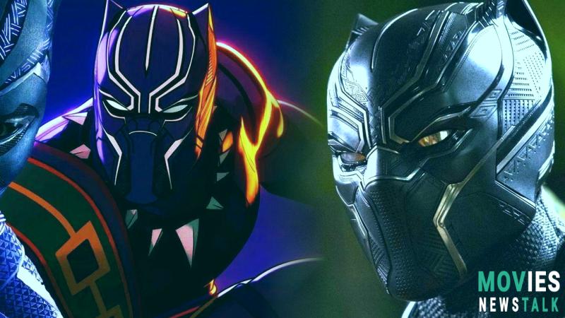 Black Panther's Return: New Casting, Costume Ideas, and Legacy image 4 