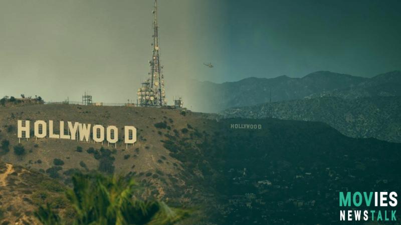 Hollywood Sign Fire: Did the Hollywood Sign Burn Down Today? image 3 