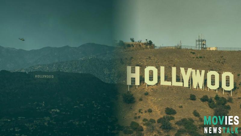 Hollywood Sign Fire: Did the Hollywood Sign Burn Down Today? image 4 