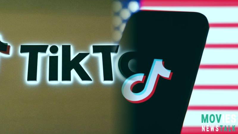 Is Mr Beast Buying TikTok? Kevin O'Leary Steps In Amidst Ban Fears image 3 