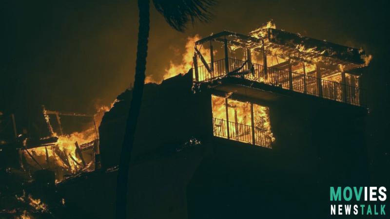 Celebrities Who Lost Homes in Fire 2025: What Celebrities Houses Burned? - See Who's Affected image 8 