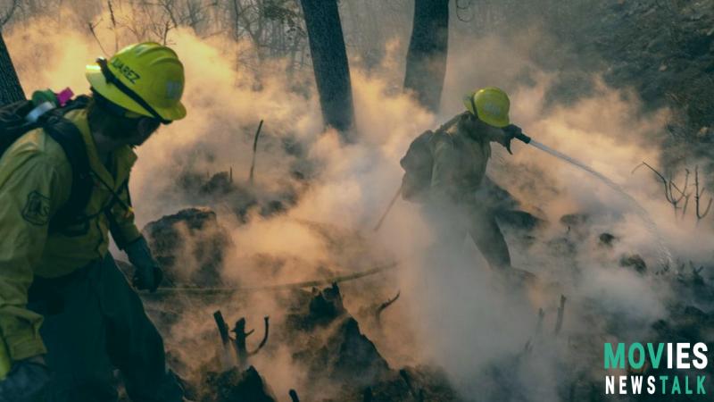 Owen Wilson, Kevin Smith & Celebs Affected by LA Fires | 2025 image 7 