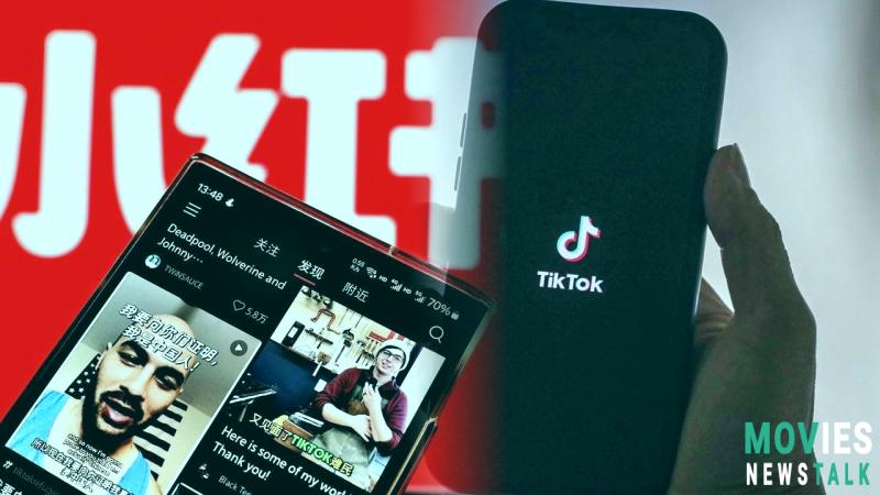 TikTok Ban: Supreme Court Decision User Impact and Rise of RedNote image 6 