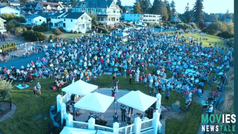 The Town's Summer Concerts in Jeopardy! Learn How to Save the Music image 4 